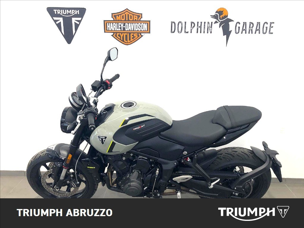 TRIUMPH Trident 660 Stone Grey Abs